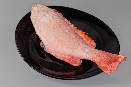 Frozen carcass of redfish, also known as ocean perch, without head covered with hoarfrost on the big black plate on a gray backgroundの写真素材