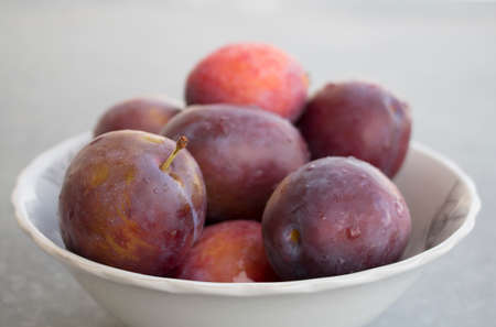 Fresh just washed plums in a bowl. Plums with dropsの写真素材