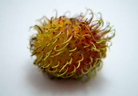 Thailand rambutan fruit isolated on the white backgroundの写真素材