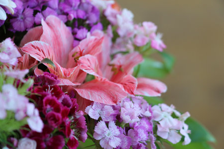 Beautiful colorful bouquet of flowers for backgroundの写真素材