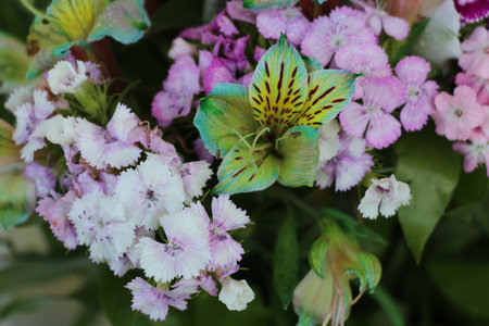 Beautiful colorful bouquet of flowers for backgroundの写真素材