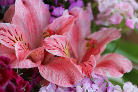 Beautiful colorful bouquet of flowers for backgroundの写真素材