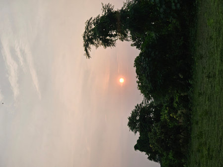 Serene Sunset Sky over Dark Green Forest Treetops
A serene, natural landscape shot of the setting sun on a hazy, pale sky, illuminating the silhouette of a dense dark green forestの写真素材