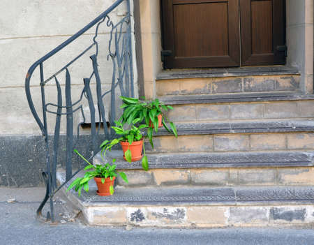 fragment of an old stone ladder before a door with a handrail of the irregular shape and plants in pots on stepsの写真素材