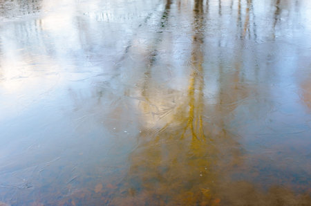Autumn freezes. Lake is covered with thin, fragile, smooth transparent new ice with air bubbles and beautiful pattern. Surface reflects blur sky and trees. Fallen leaves on bottom. Away not yet frozen water. Abstract background.の写真素材