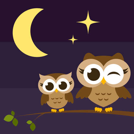 Two cute owls on branches at nightのイラスト素材