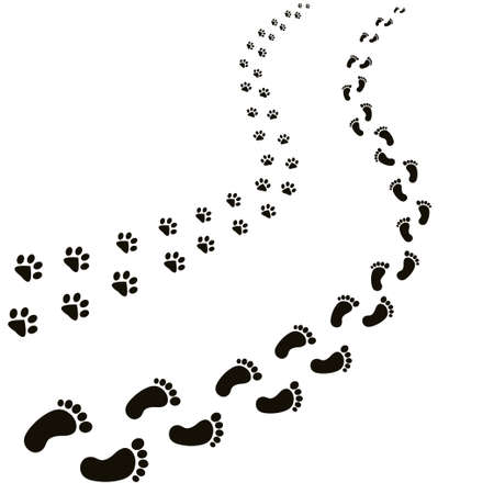 Animal and human footprints illustration.のイラスト素材