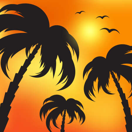 Illustration of palm silhouettes and evening skyのイラスト素材