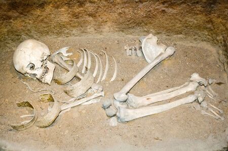 Polish ancestor remains in a museum in Biskupinの写真素材