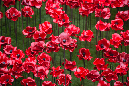 'Blood Swept Lands and Seas of Red'. Close up of the 888,246 ceramic poppies marking the centenary of the outbreak of the First World War in the moat of the Tower of London, London, England.の写真素材