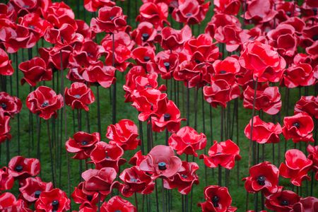 'Blood Swept Lands and Seas of Red'. Close up of the 888,246 ceramic poppies marking the centenary of the outbreak of the First World War in the moat of the Tower of London, London, England.の写真素材