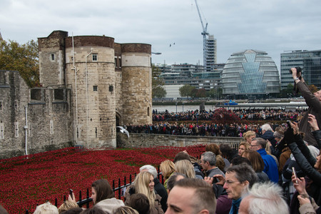 'Blood Swept Lands and Seas of Red'. Close up of the 888,246 ceramic poppies marking the centenary of the outbreak of the First World War in the moatのeditorial素材