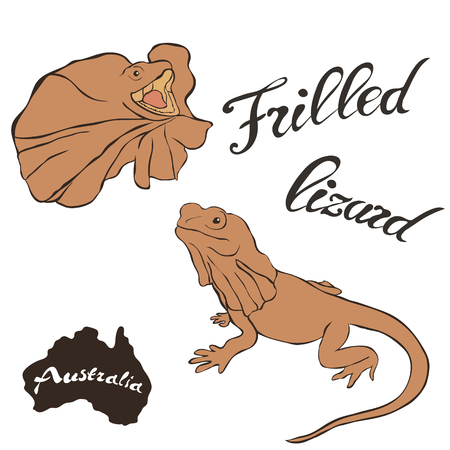 Vector of Frilled lizard vector image - ID:125898886 - Royalty Free ...