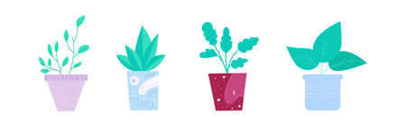 Collection of potted flowers. Home flowers graphic resourceのイラスト素材