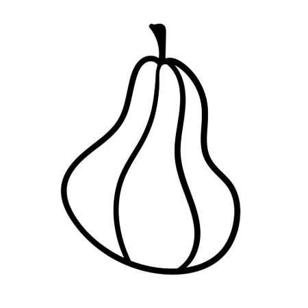 Vector hand drawn doodle sketch Pumpkin. Vector isolated Cartoon Food element illustration.のイラスト素材