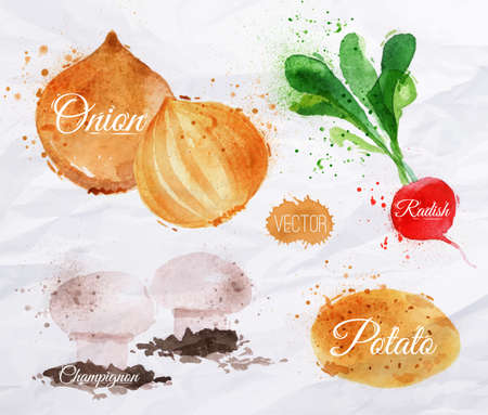 Vegetables set drawn watercolor blots and stains with a radishes, onions, potatoes, champignonsのイラスト素材