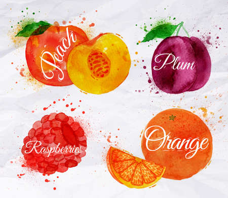 Fruit set drawn watercolor blots and stains with a spray peach, raspberry, plum, orangeのイラスト素材