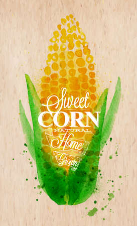 Poster with watercolor corn lettering sweet corn natural home grownのイラスト素材