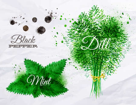 Spices herbs set drawn watercolor blots and stains with a spray black pepper, mint, dillのイラスト素材