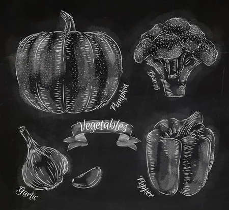 Vegetables pepper, pumpkin, garlic, broccoli chalkのイラスト素材