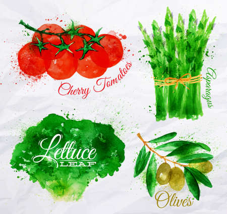 Vegetables set drawn watercolor blots and stains with a spray lettuce, cherry tomatoes, asparagus, olivesのイラスト素材