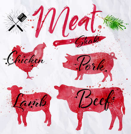 Set of meat symbols, beef, pork, chicken, lamb hand-drawing silhouettes of animals in red on crumpled paper in vintage style.のイラスト素材