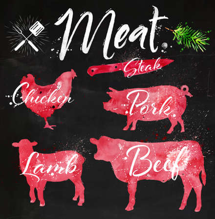 Set of meat symbols, beef, pork, chicken, lamb hand-drawing silhouettes of animals in red chalk on blackboard.のイラスト素材