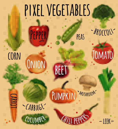 Pixel vegetables corn, pepper, peas, broccoli, onion, beet, mushrooms, tomato, pumpkin, cabbage, cucumber, carrot, chili pepper, leek drawing in pixel style on  kraftのイラスト素材