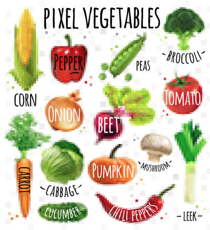 Pixel vegetables corn, pepper, peas, broccoli, onion, beet, mushrooms, tomato, pumpkin, cabbage, cucumber, carrot, chili pepper, leek drawing in pixel style on  white backgroundのイラスト素材