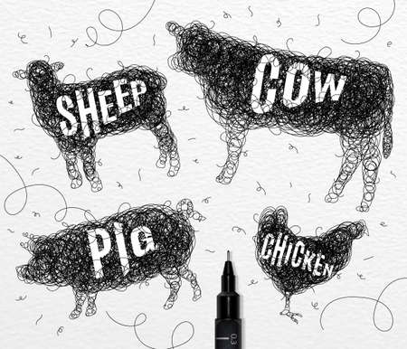 Pen hand drawing tangle wild animals chicken, cow, pig, sheep,  with inscription names of animals drawing on paper backgroundのイラスト素材