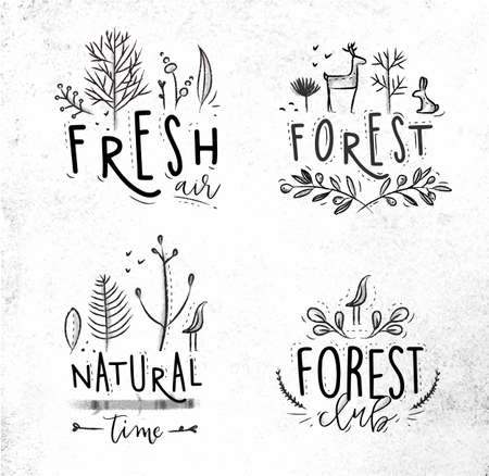 Forest labels lettering forest, fresh air, forest club, natural time drawing with coalのイラスト素材