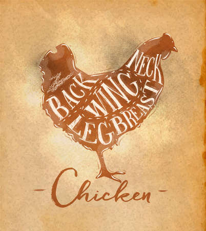 Poster chicken cutting scheme lettering neck, back, wing, breast, leg in retro style drawing on craft paper backgroundのイラスト素材