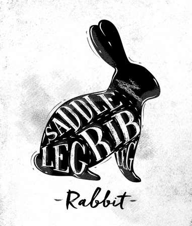 Poster rabbit cutting scheme lettering saddle, leg, rib in vintage style drawing on dirty paper backgroundのイラスト素材