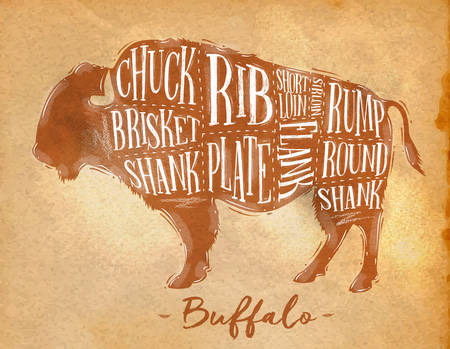 Poster buffalo cutting scheme lettering chuck, brisket, shank, rib, plate, flank, sirloin, shortloin, rump, round, shank in retro style drawing craft backgroundのイラスト素材