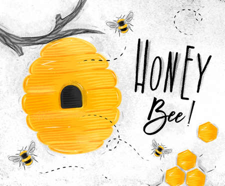 Poster illustrated bee hive, honeycombs lettering honey bee drawing on dirty paper backgroundのイラスト素材