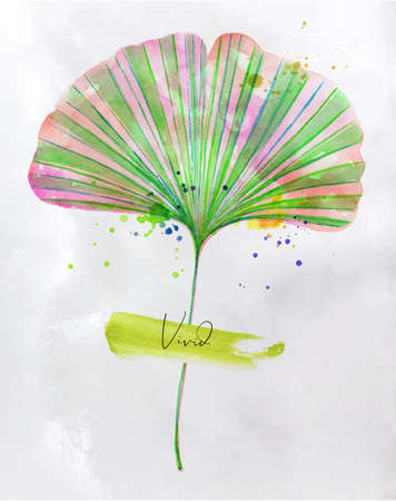 Exotic vivid ginkgo biloba leaf drawing on dirty paper background.のイラスト素材