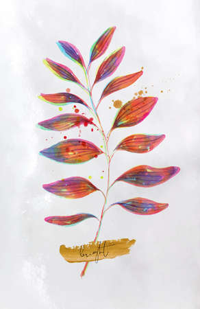 Exotic vivid card lettering bright drawing on dirty paper background.のイラスト素材