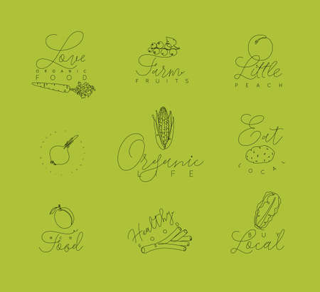 Vegetables and fruits symbols with lettering in pen hand drawing lines style on green backgroundのイラスト素材