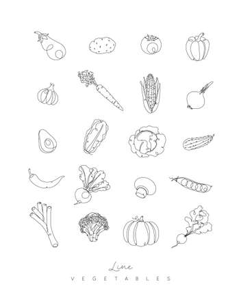 Vegetables icons in pen hand drawing lines style on white backgroundのイラスト素材