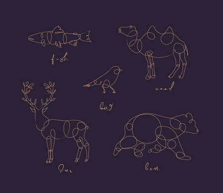 Set of animals fish, camel, bird, deerm bear drawing in pen line style on dark backgroundのイラスト素材