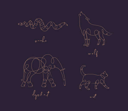 Set of animals snake, wolf, elephant, cat drawing in pen line style on darkのイラスト素材