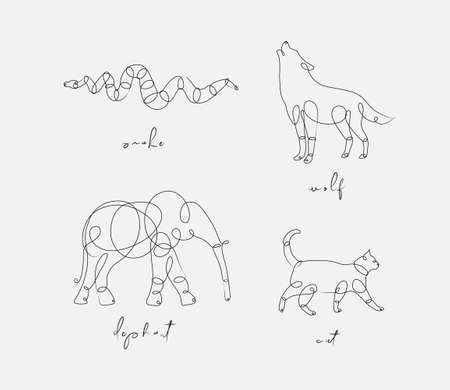 Set of animals snake, wolf, elephant, cat drawing in pen line style on light backgroundのイラスト素材