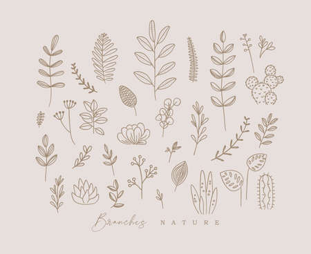 Set of different forms branch and leaves in minimalism style drawing on beige backgroundのイラスト素材