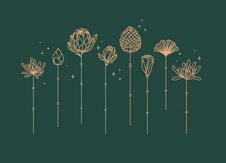 Flowers long stem drawing in art deco style on green backgroundのイラスト素材