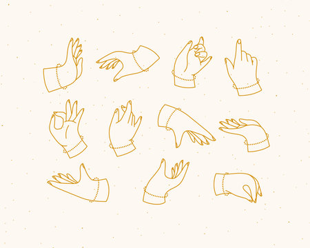 Set of renaissance hands with fingers icons in different positions drawing on beige backgroundのイラスト素材