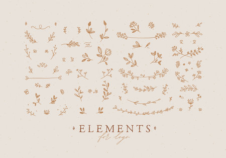 Elements flowers and branches to create label or sign in hand drawing style. Coffee color background.のイラスト素材