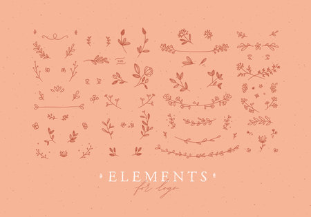 Elements flowers and branches to create label or sign in hand drawing style. Coral color background.のイラスト素材