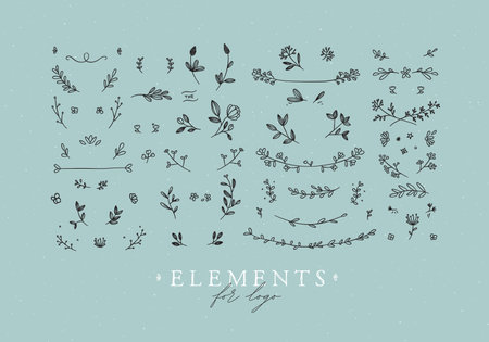 Elements flowers and branches to create label or sign in hand drawing style. Turquoise color background.のイラスト素材