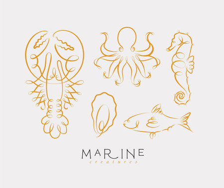 Filigree swirl sea and ocean creatures lobster, octopus, seahorse, oyster, fish drawing on light backgroundのイラスト素材