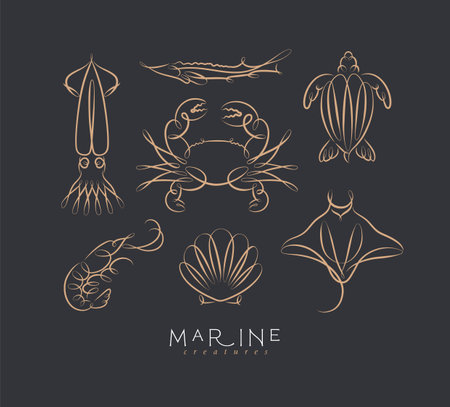 Filigree swirl sea and ocean creatures squid, fish, crab, turtle, shrimp, stingray, shell, scallop drawing on black backgroundのイラスト素材